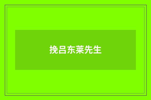 挽吕东莱先生