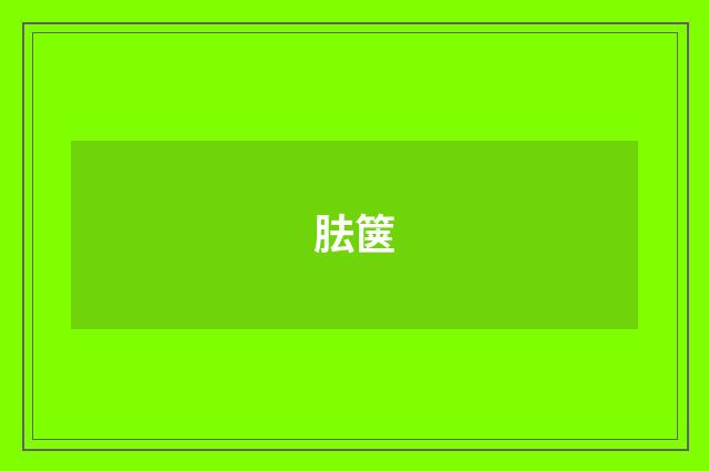 胠箧