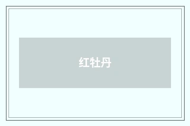 红牡丹