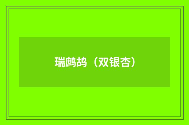 瑞鹧鸪（双银杏）