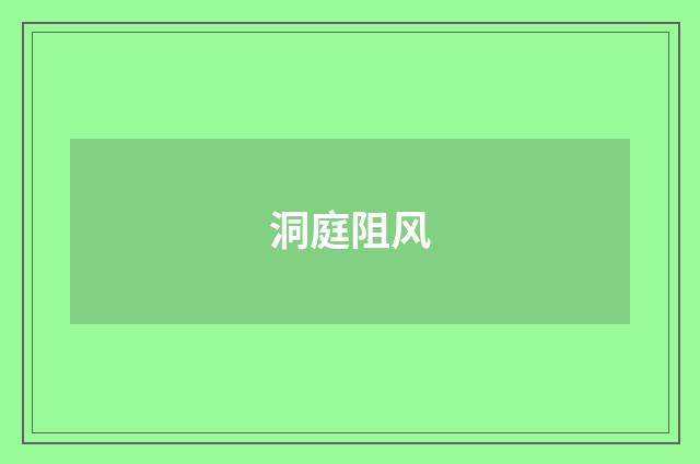 洞庭阻风