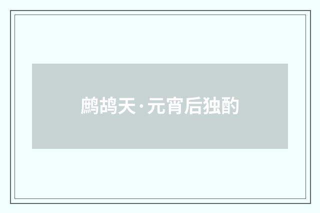 鹧鸪天·元宵后独酌