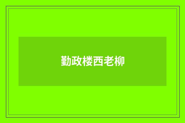 勤政楼西老柳