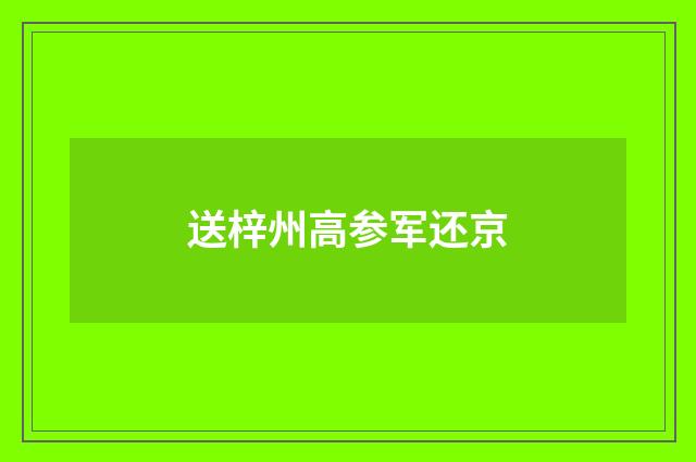 送梓州高参军还京