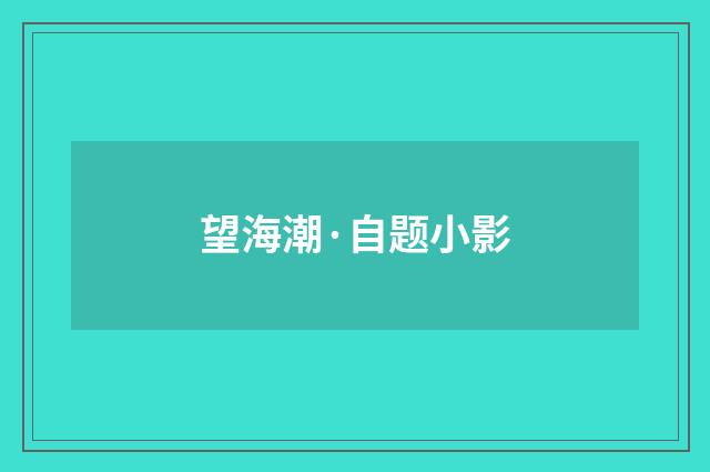望海潮·自题小影