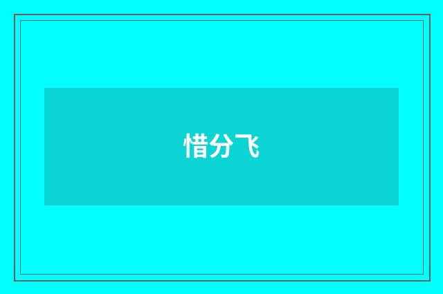 惜分飞