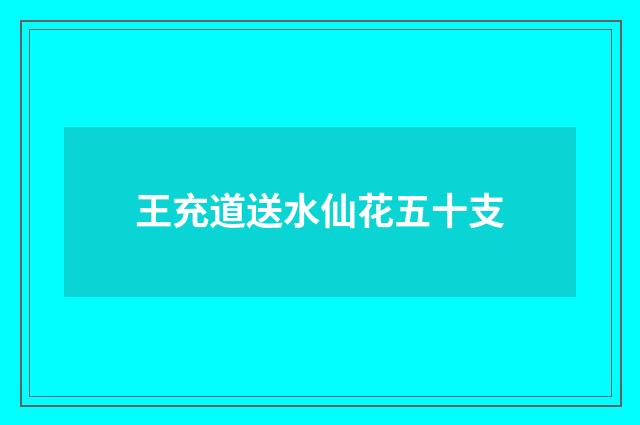 王充道送水仙花五十支
