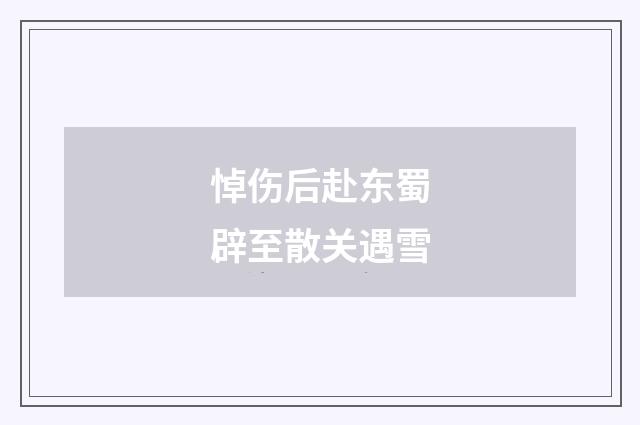 悼伤后赴东蜀辟至散关遇雪