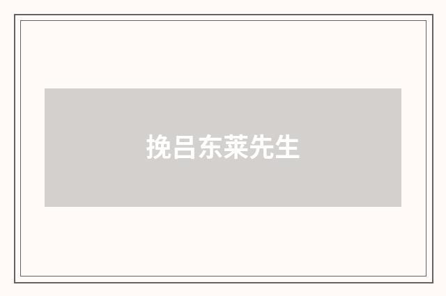 挽吕东莱先生