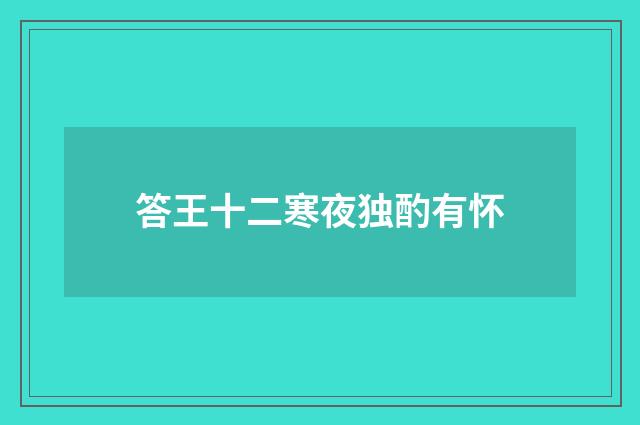 答王十二寒夜独酌有怀