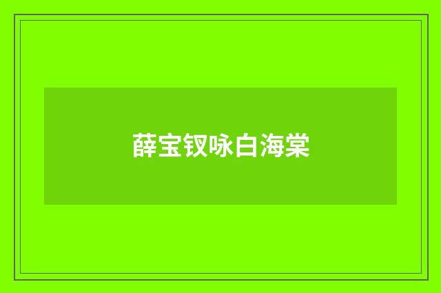 薛宝钗咏白海棠