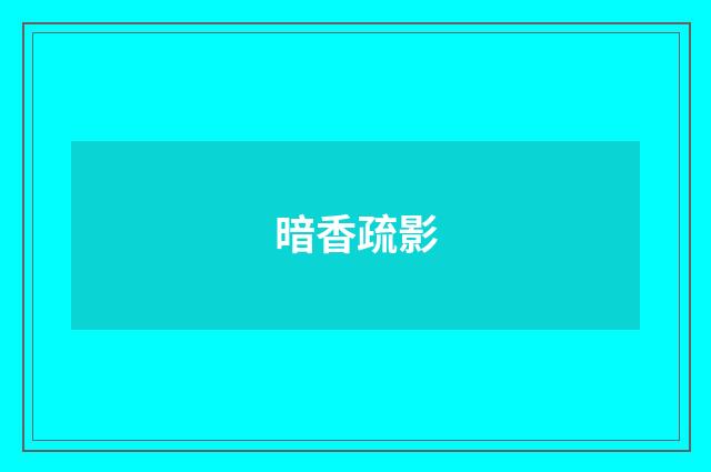 暗香疏影