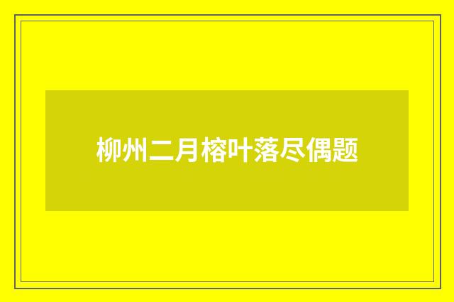 柳州二月榕叶落尽偶题
