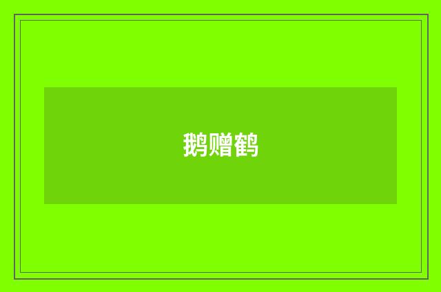 鹅赠鹤