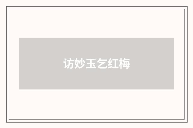 访妙玉乞红梅
