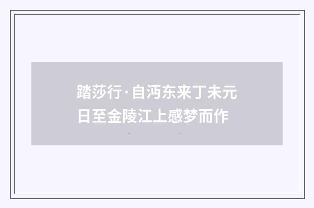 踏莎行·自沔东来丁未元日至金陵江上感梦而作