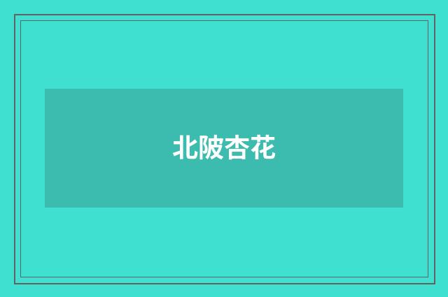 北陂杏花