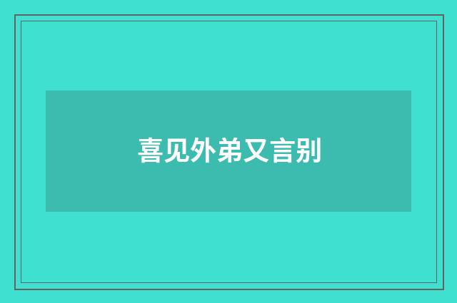喜见外弟又言别