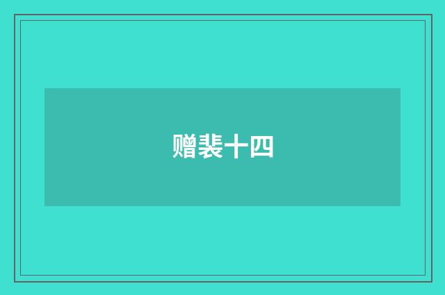 赠裴十四