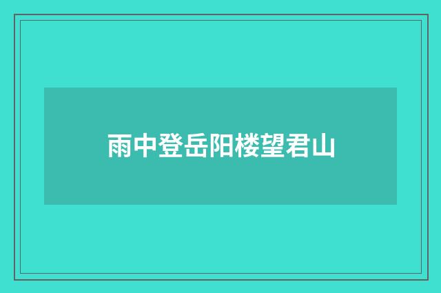 雨中登岳阳楼望君山