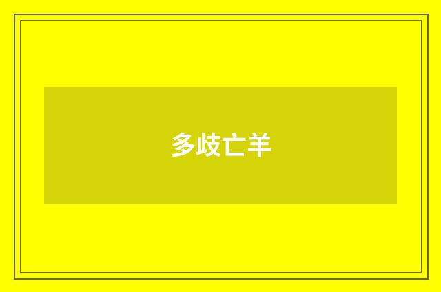 多歧亡羊