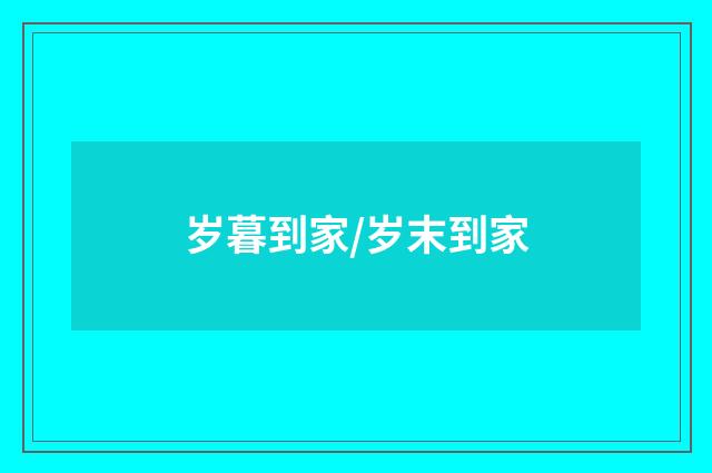 岁暮到家/岁末到家