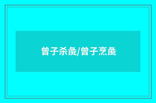 曾子杀彘/曾子烹彘