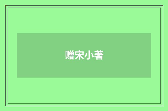 赠宋小著