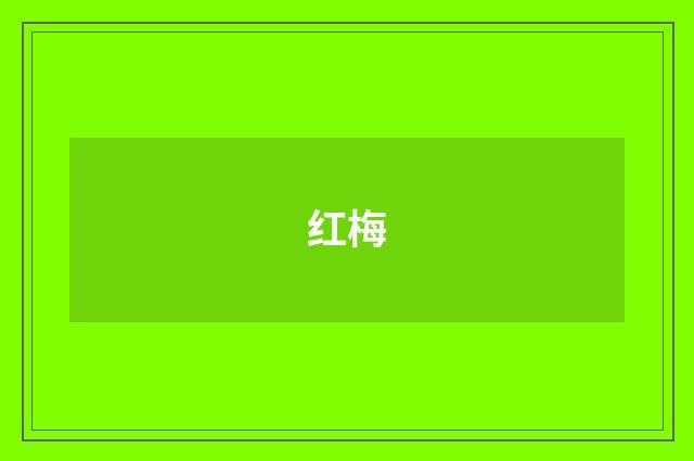 红梅