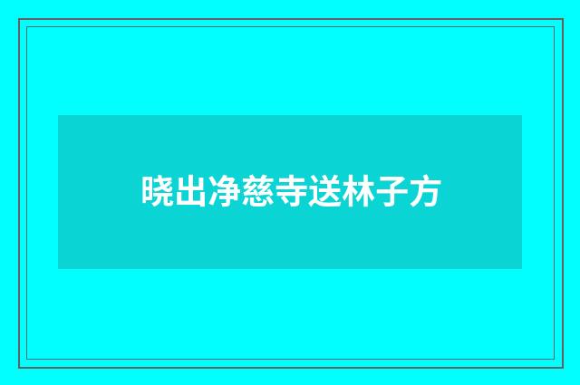 晓出净慈寺送林子方