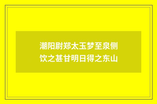 潮阳尉郑太玉梦至泉侧饮之甚甘明日得之东山