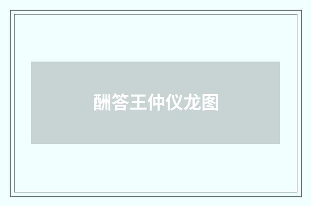 酬答王仲仪龙图