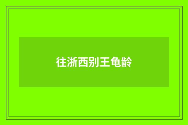 往浙西别王龟龄