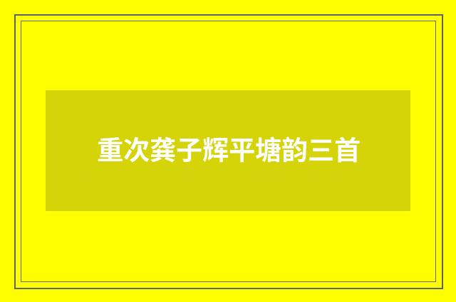 重次龚子辉平塘韵三首