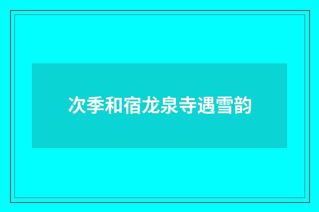 次季和宿龙泉寺遇雪韵