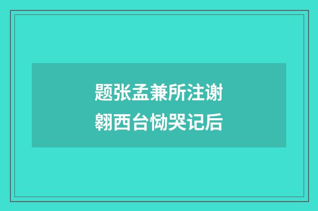 题张孟兼所注谢翱西台恸哭记后