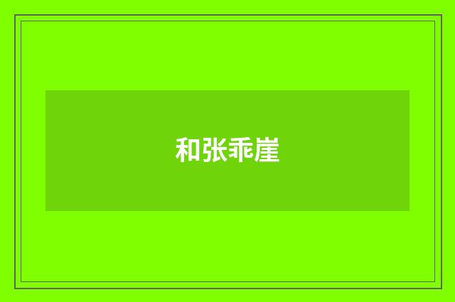 和张乖崖