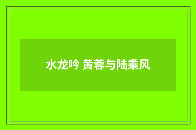 水龙吟 黄蓉与陆乘风