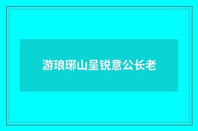 游琅琊山呈锐意公长老