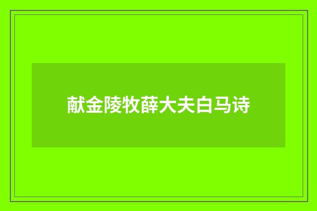 献金陵牧薛大夫白马诗