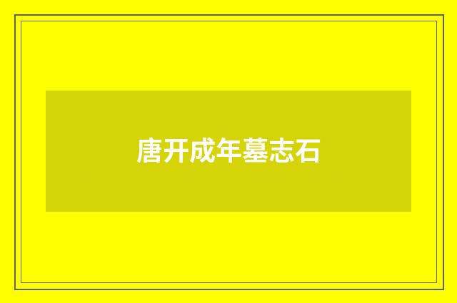 唐开成年墓志石