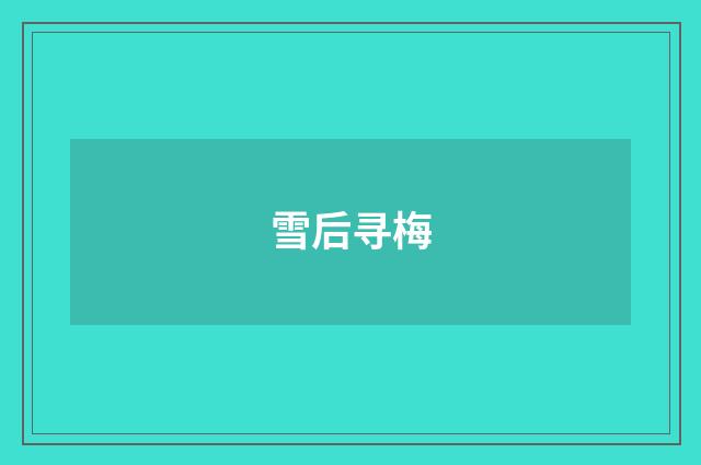 雪后寻梅