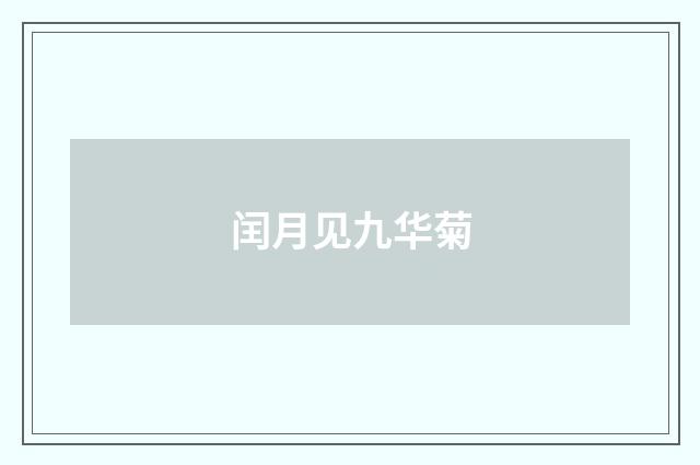 闰月见九华菊