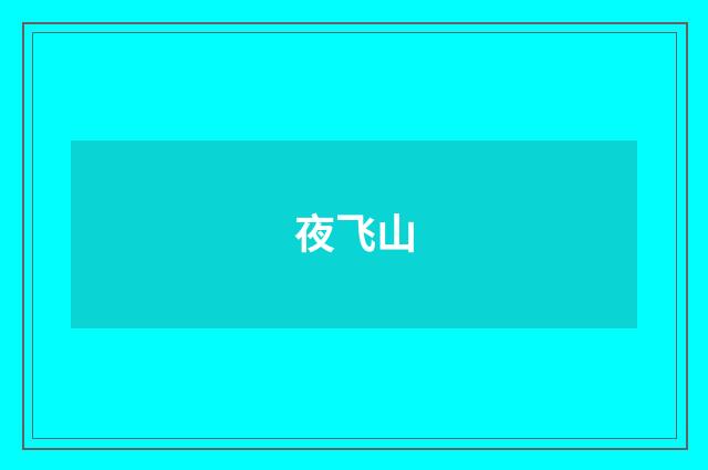夜飞山