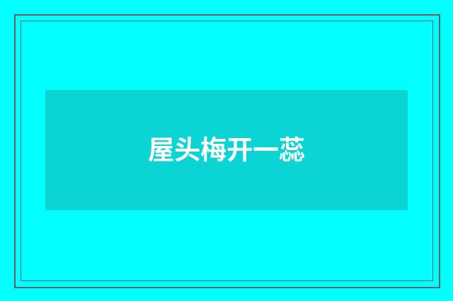 屋头梅开一蕊