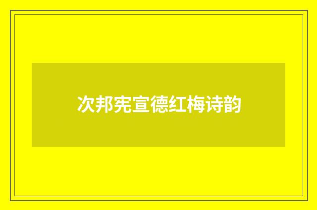 次邦宪宣德红梅诗韵