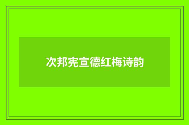 次邦宪宣德红梅诗韵