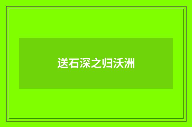 送石深之归沃洲