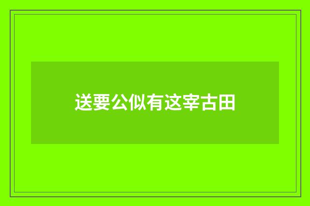 送要公似有这宰古田