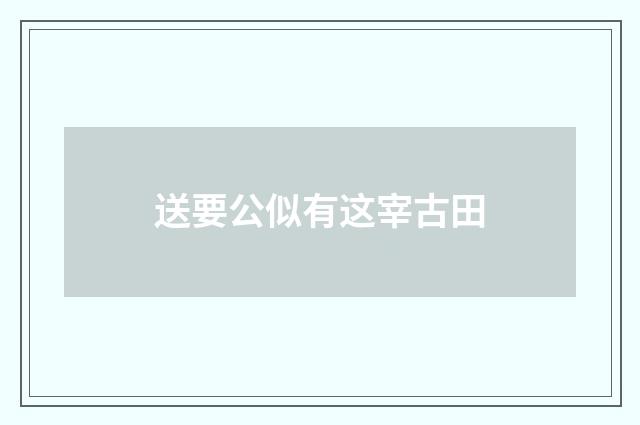 送要公似有这宰古田